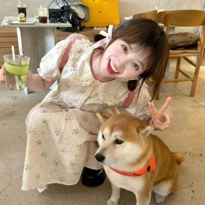 鼹鼠之歌
